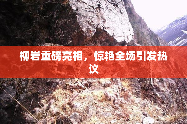 柳岩重磅亮相，惊艳全场引发热议