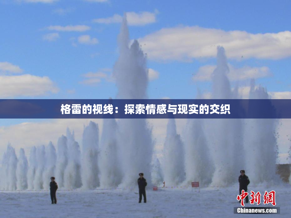 格雷的视线：探索情感与现实的交织