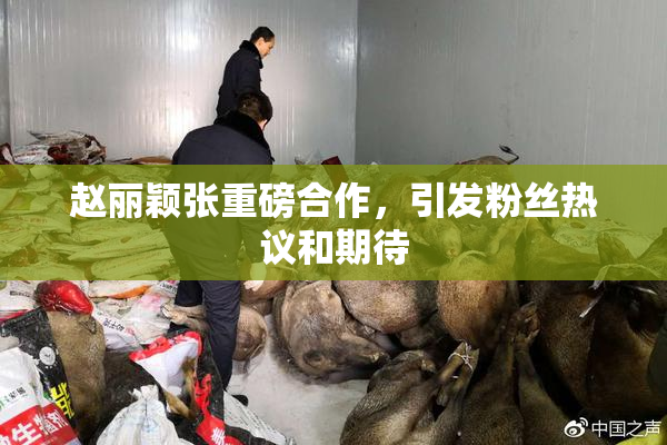 赵丽颖张重磅合作，引发粉丝热议和期待