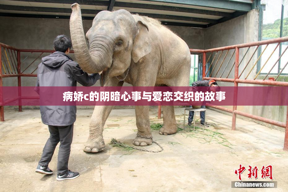 病娇c的阴暗心事与爱恋交织的故事