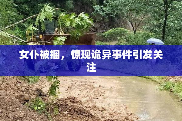 女仆被捆，惊现诡异事件引发关注