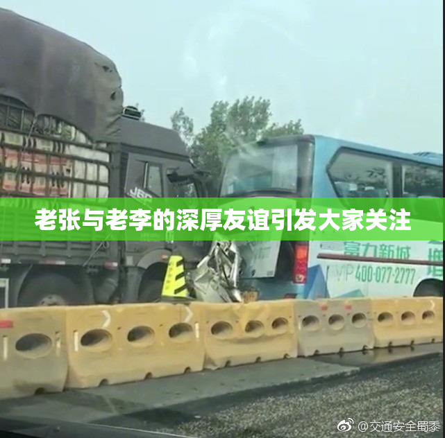 老张与老李的深厚友谊引发大家关注