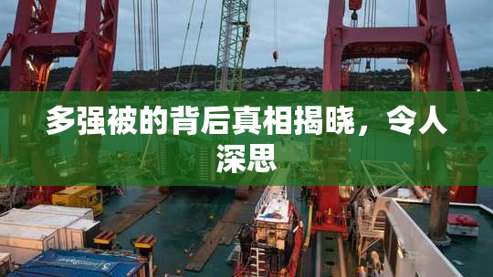 多强被的背后真相揭晓，令人深思