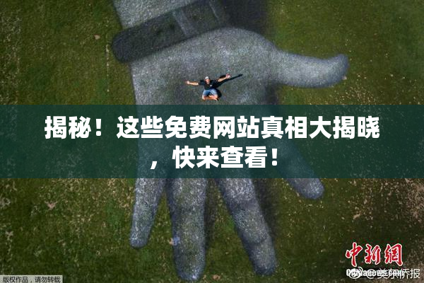 揭秘！这些免费网站真相大揭晓，快来查看！