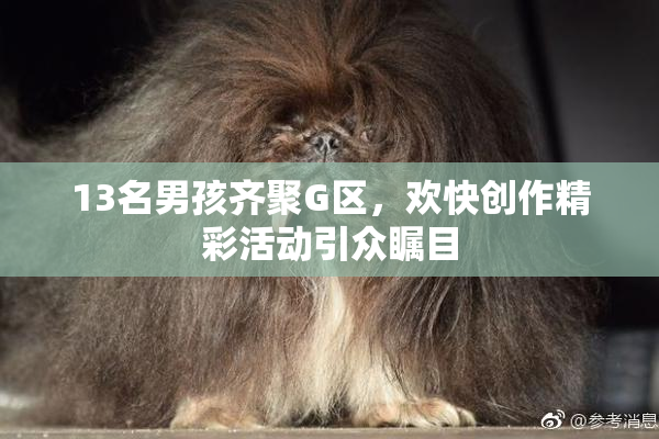13名男孩齐聚G区，欢快创作精彩活动引众瞩目