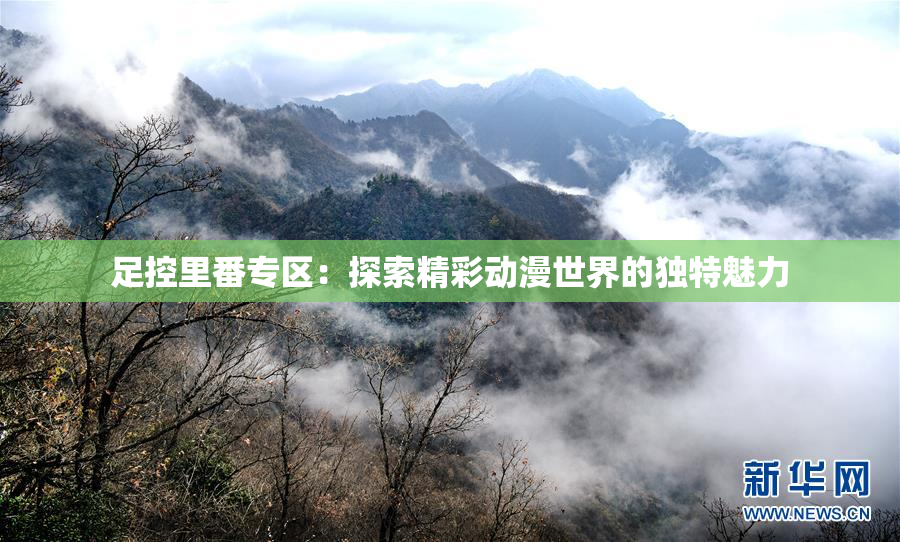 足控里番专区：探索精彩动漫世界的独特魅力