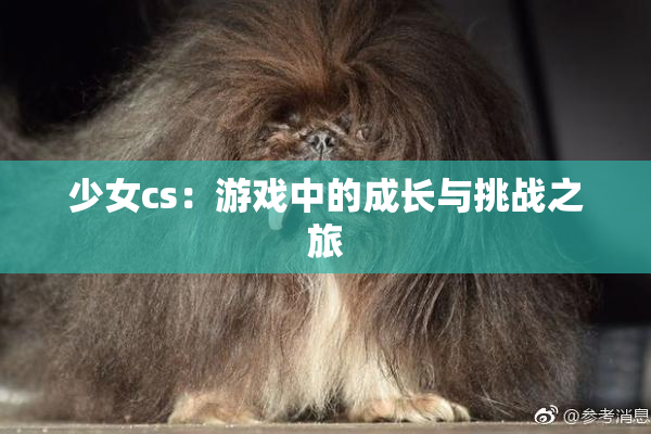 少女cs：游戏中的成长与挑战之旅