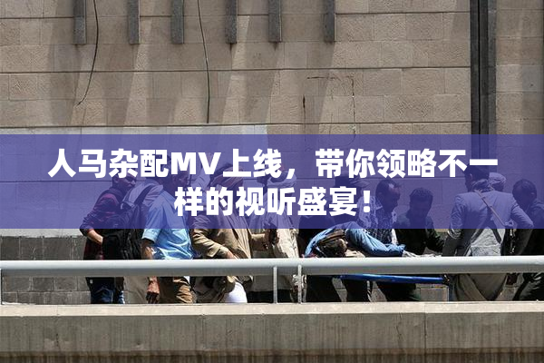 人马杂配MV上线，带你领略不一样的视听盛宴！