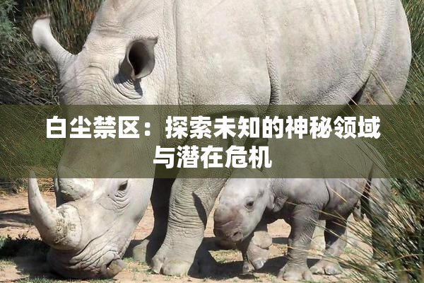 白尘禁区：探索未知的神秘领域与潜在危机