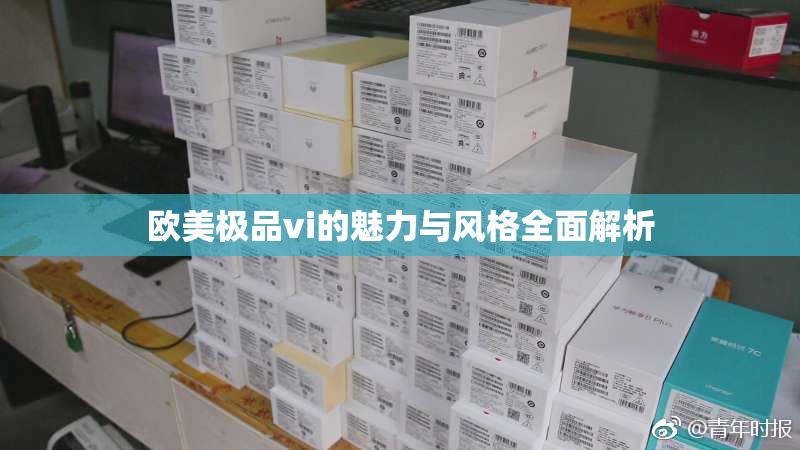 欧美极品vi的魅力与风格全面解析