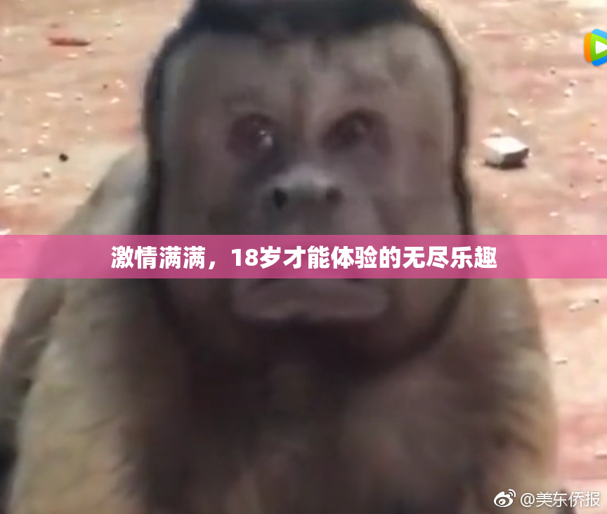 激情满满，18岁才能体验的无尽乐趣