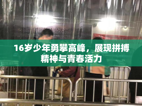 16岁少年勇攀高峰，展现拼搏精神与青春活力