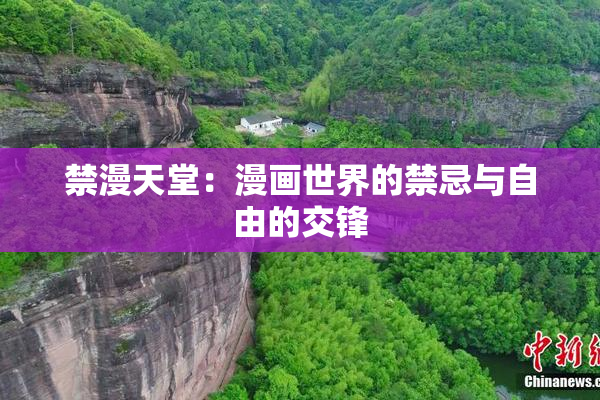 禁漫天堂：漫画世界的禁忌与自由的交锋