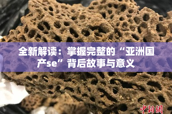 全新解读：掌握完整的“亚洲国产se”背后故事与意义