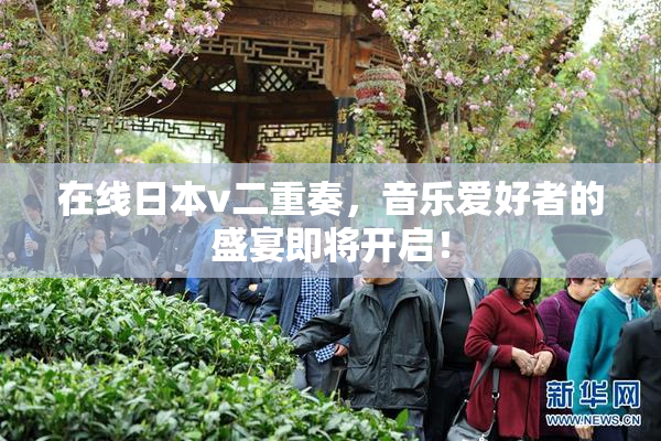 在线日本v二重奏，音乐爱好者的盛宴即将开启！