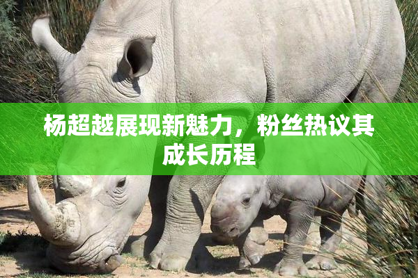杨超越展现新魅力，粉丝热议其成长历程