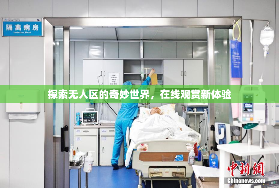 探索无人区的奇妙世界，在线观赏新体验
