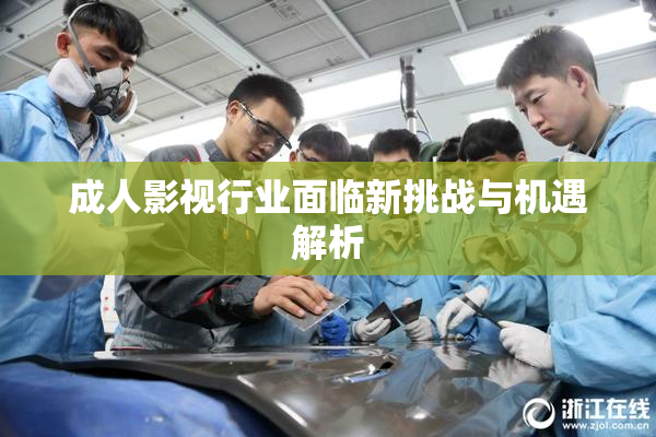 成人影视行业面临新挑战与机遇解析