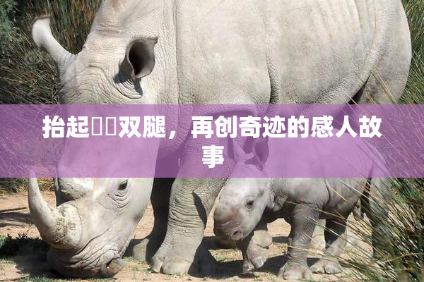 抬起妺妺双腿，再创奇迹的感人故事