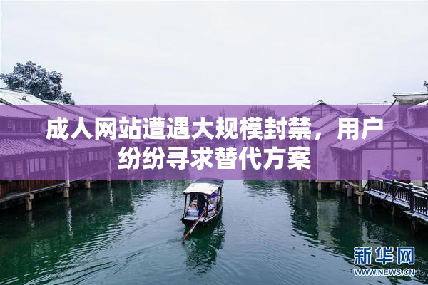 成人网站遭遇大规模封禁，用户纷纷寻求替代方案
