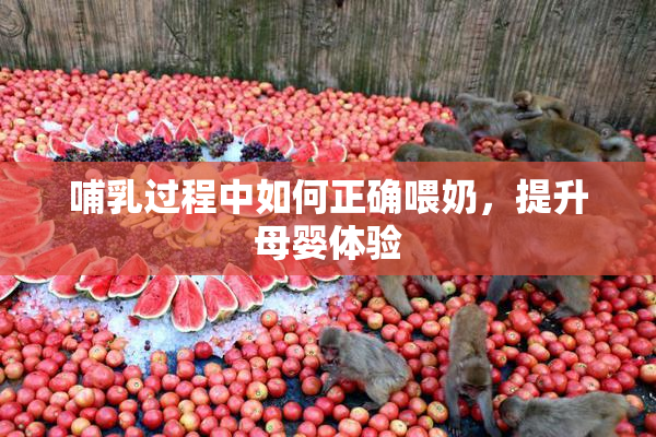 哺乳过程中如何正确喂奶，提升母婴体验