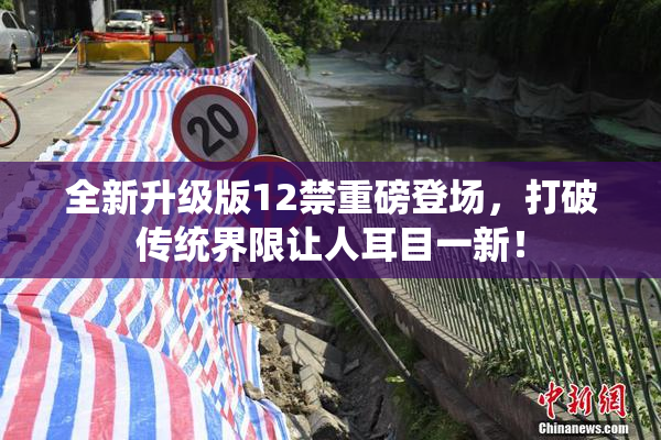全新升级版12禁重磅登场，打破传统界限让人耳目一新！