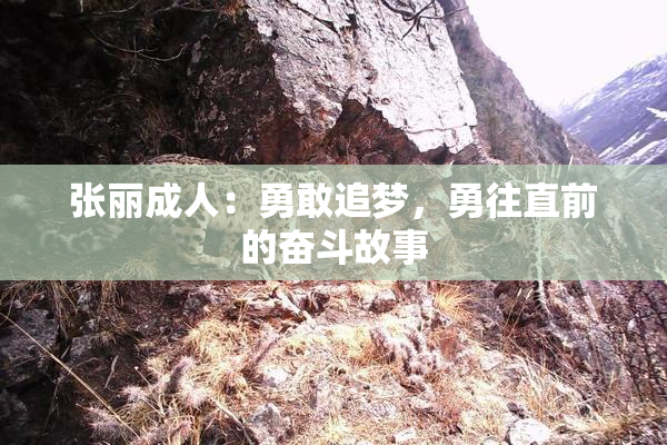张丽成人：勇敢追梦，勇往直前的奋斗故事