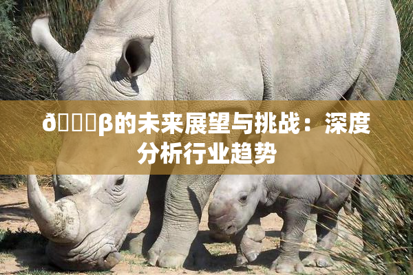🔞β的未来展望与挑战：深度分析行业趋势