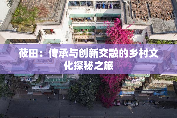 莜田：传承与创新交融的乡村文化探秘之旅