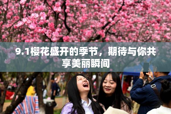 9.1樱花盛开的季节，期待与你共享美丽瞬间