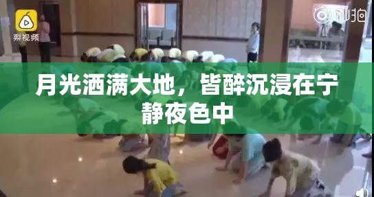 月光洒满大地，皆醉沉浸在宁静夜色中
