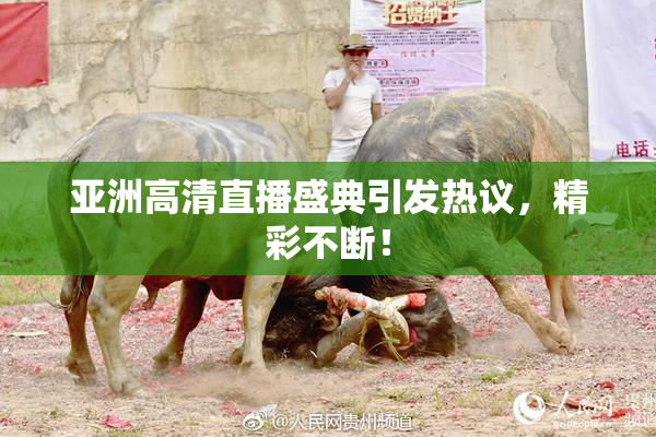 亚洲高清直播盛典引发热议，精彩不断！