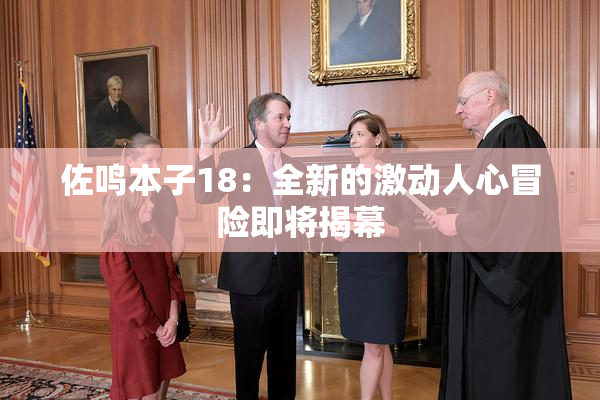 佐鸣本子18：全新的激动人心冒险即将揭幕