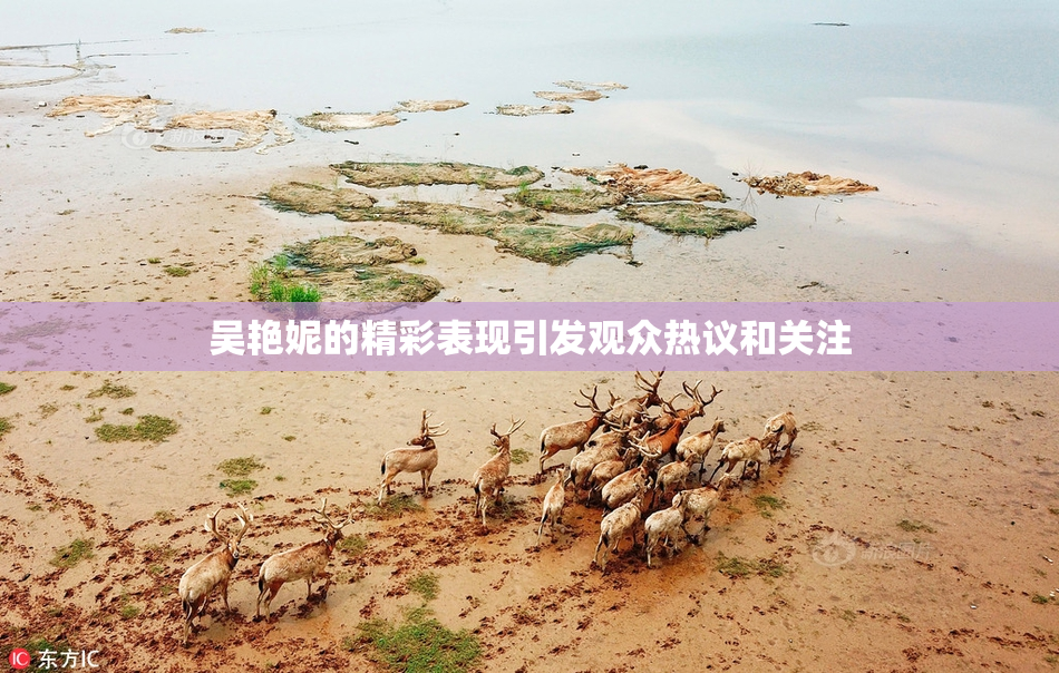 吴艳妮的精彩表现引发观众热议和关注