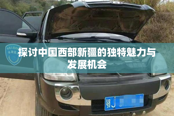 探讨中国西部新疆的独特魅力与发展机会