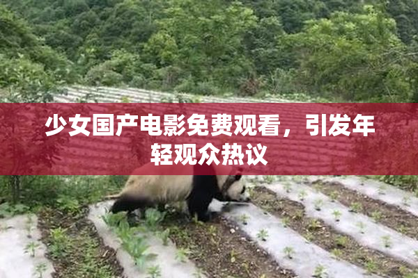 少女国产电影免费观看，引发年轻观众热议