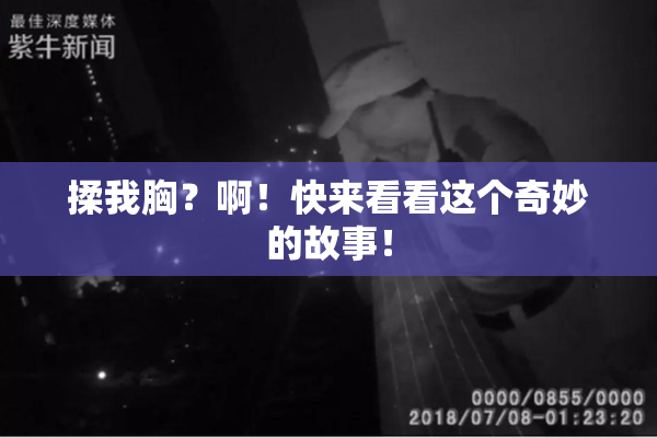 揉我胸？啊！快来看看这个奇妙的故事！