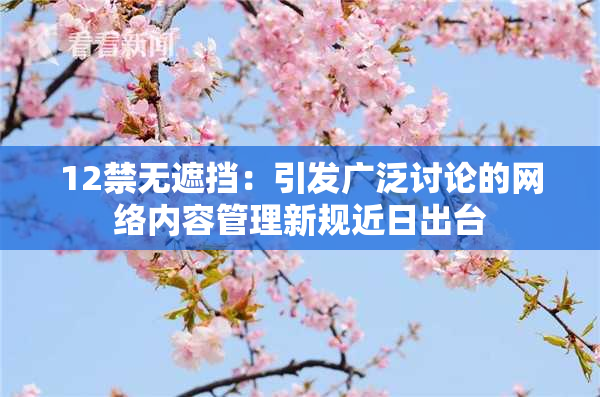 12禁无遮挡：引发广泛讨论的网络内容管理新规近日出台