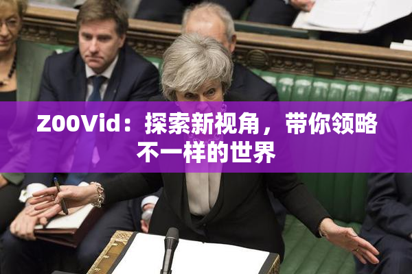 Z00Vid：探索新视角，带你领略不一样的世界