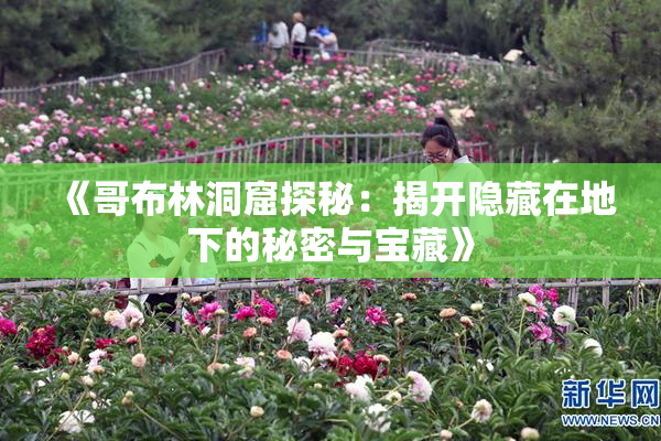 《哥布林洞窟探秘：揭开隐藏在地下的秘密与宝藏》