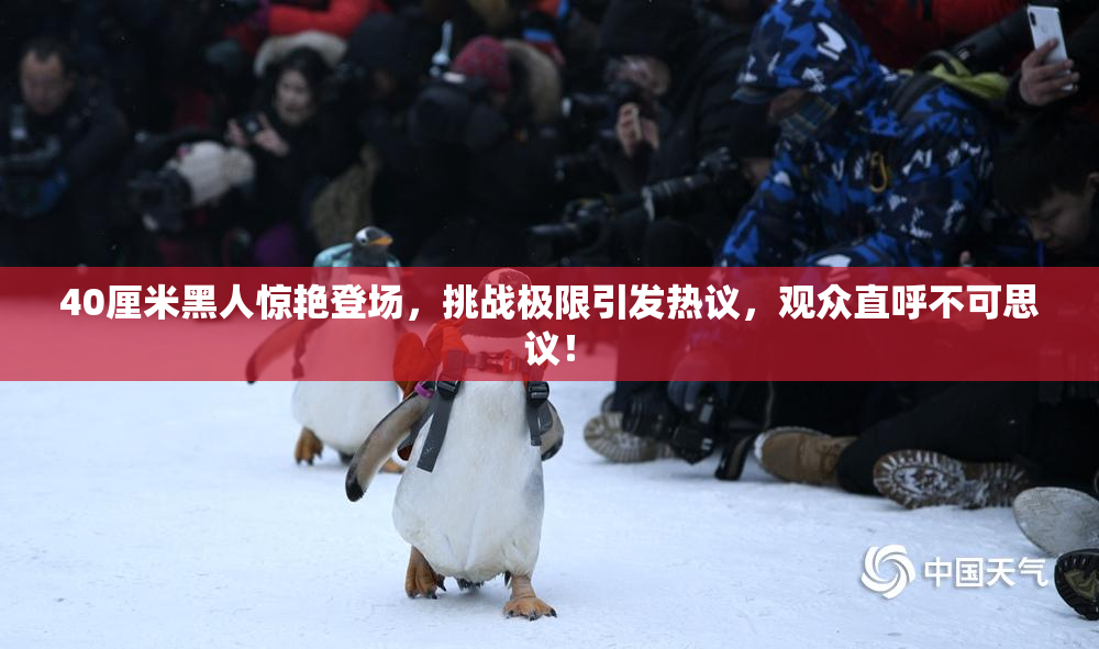 40厘米黑人惊艳登场，挑战极限引发热议，观众直呼不可思议！
