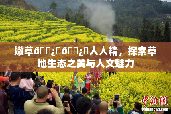 嫩草🌿‌🌿‌人人精，探索草地生态之美与人文魅力