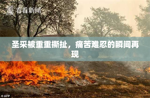 圣采被重重撕扯，痛苦难忍的瞬间再现