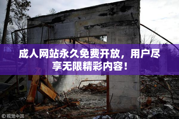 成人网站永久免费开放，用户尽享无限精彩内容！
