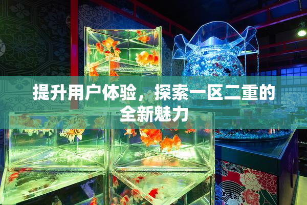 提升用户体验，探索一区二重的全新魅力