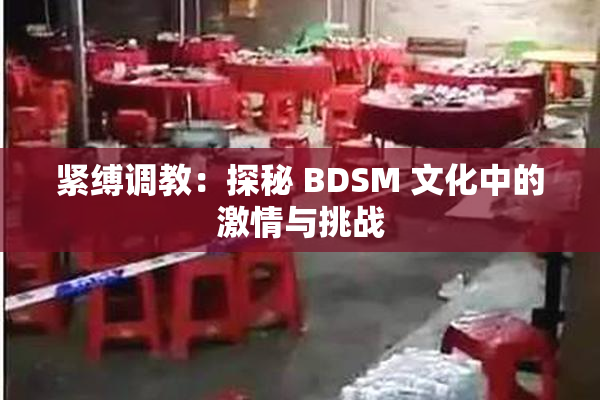 紧缚调教：探秘 BDSM 文化中的激情与挑战