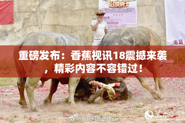 重磅发布：香蕉视讯18震撼来袭，精彩内容不容错过！