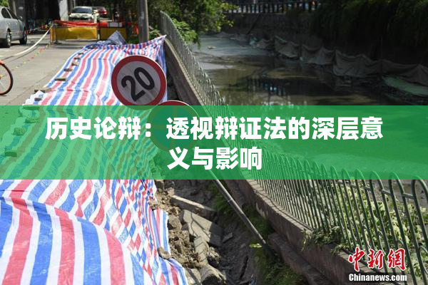 历史论辩：透视辩证法的深层意义与影响