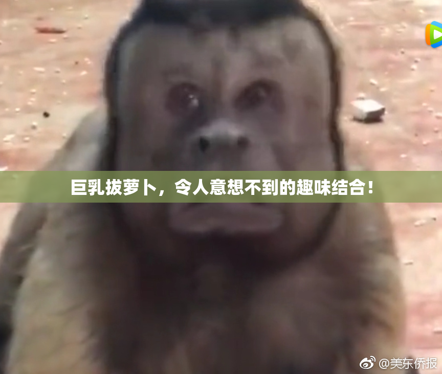 巨乳拔萝卜，令人意想不到的趣味结合！