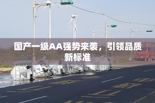 国产一级AA强势来袭，引领品质新标准